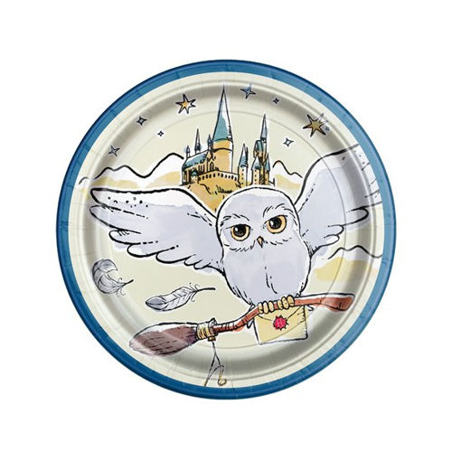 Picture of HARRY POTTER PAPER PLATE - 17CM